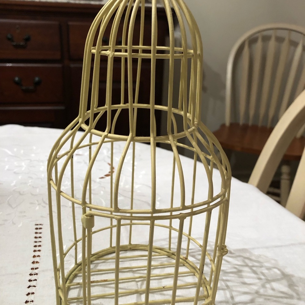 Charming Cream Wire Birdcage Accent